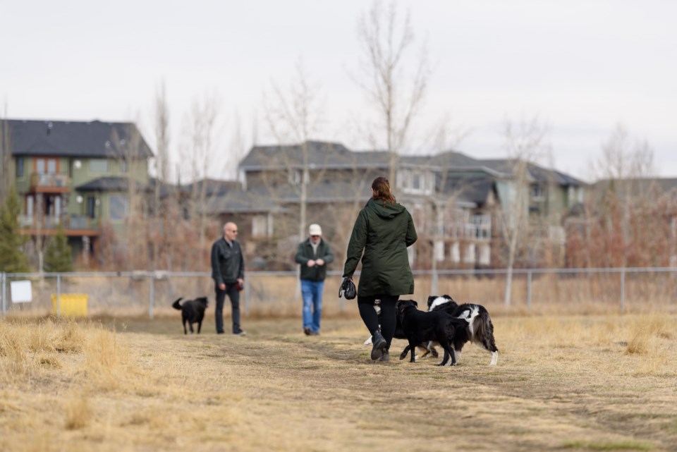 news-okotoks-off-leash-dog-park-rk-4240web