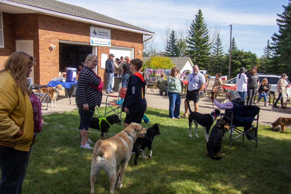 Pound Rescue supporters and their pets came together for the organization's 30th anniversary celebration in Aldersyde on Sept. 21.