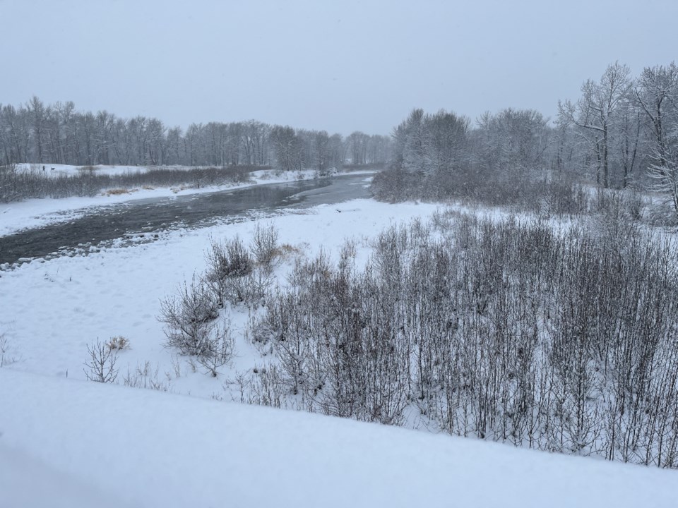 snow-in-sheep-river-park