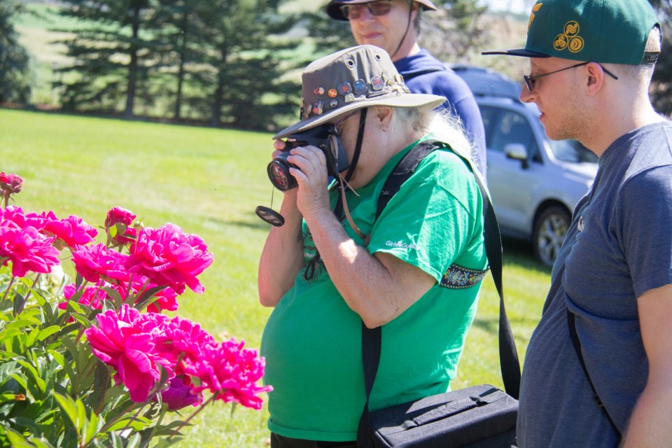 Community members admire peonies at the 60th annual Millarville Flower Festival on July 13.