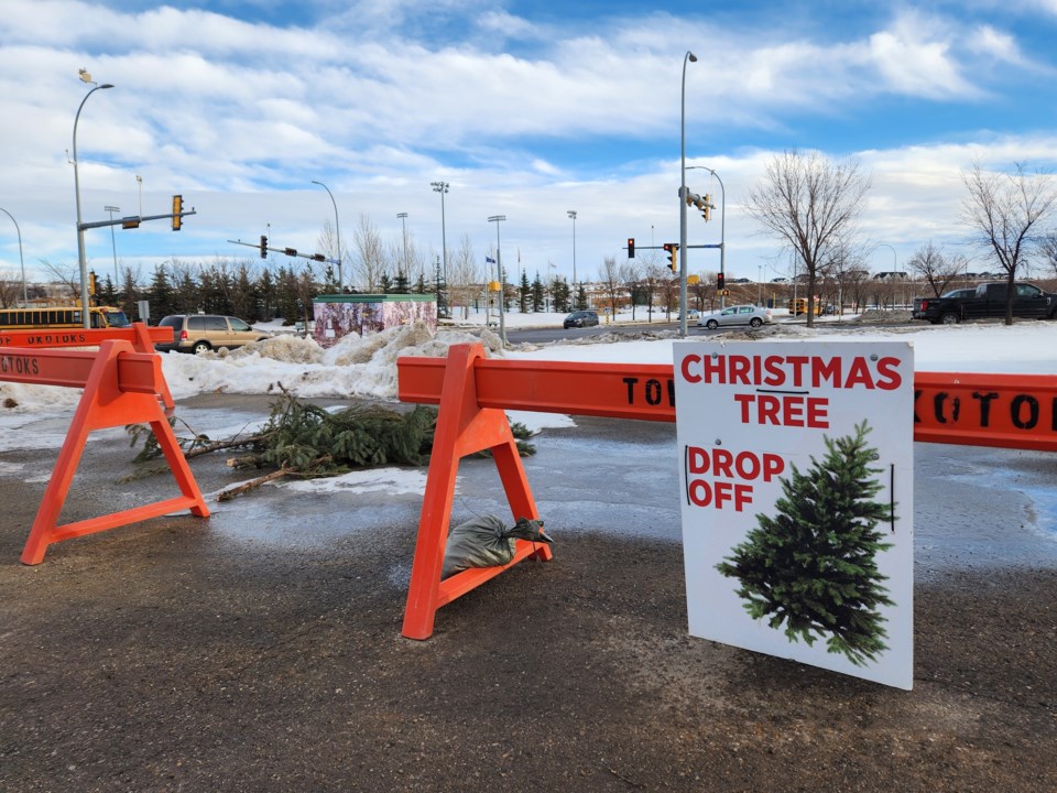 NEW-Christmas Tree Disposal