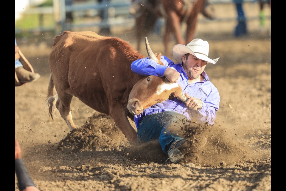 Chance Butterfield comes in for a landing in the steer wrestling during the Okotoks Pro Rodeo at the Millarville Racetrack in 2021.