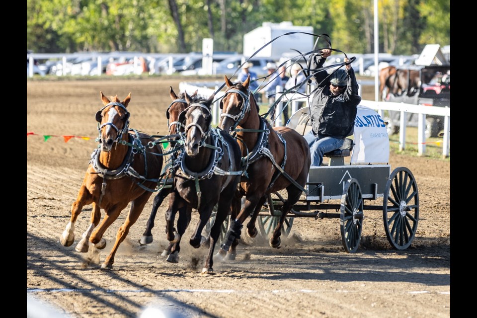 Chuckwagons race during the Millarville Chucks, Chariots, and Bulls in 2023.