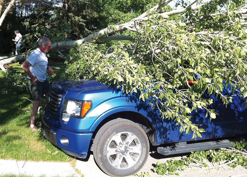 Jim Drinnan surveys the damage to his brand new truck after a limb from a tree in front of neighbour John Varndell&#8217;s property was blown onto three cars on July 7.