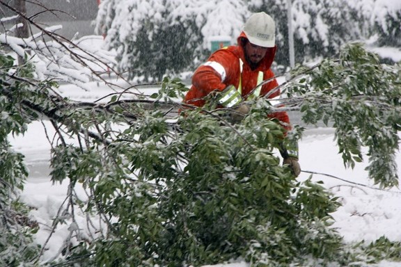 Fortis lineman Erik Bonsor works on a tree which topped a powerline on Mountain Street N.E.