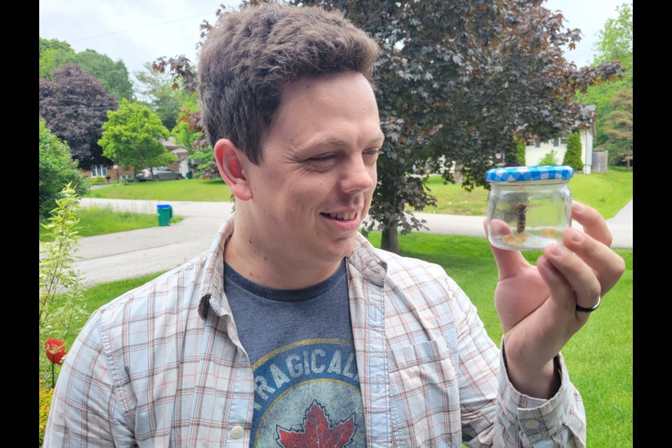 A Severn Township resident passed a European hornet specimen along to OrilliaMatters for identification, pictured here with reporter Greg McGrath-Goudie.