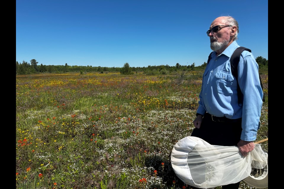 Local naturalist Bob Bowles said this year’s bloom at the Carden Alvar is particularly colourful compared to previous years. He'll lead an excursion to the area on Sunday for those who are interested. 