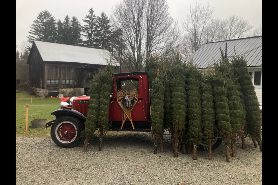 Visit the Valley Croft Evergreen Holiday Market in Horseshoe Valley Saturday, Nov. 27 and Sunday, Nov. 28.