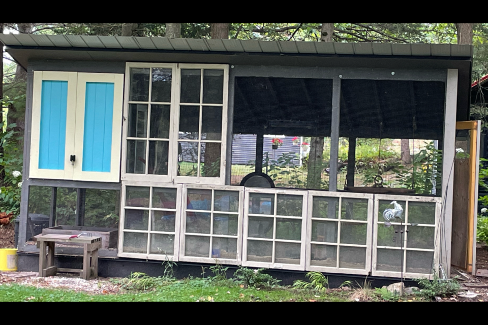 Washing Eggs - The Why And How - The Happy Chicken Coop