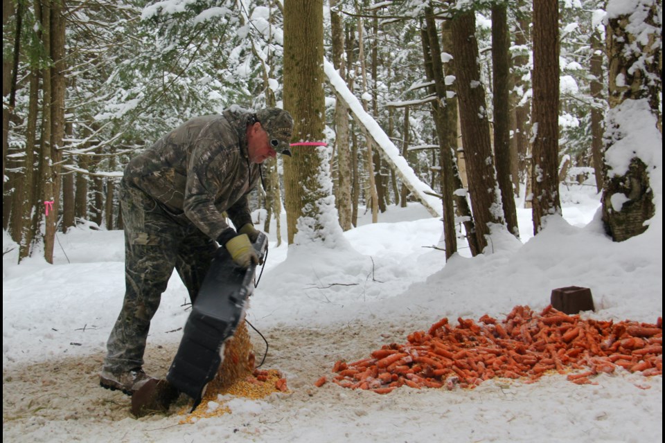 David Nicholls of Severn is seen leaving food for deer who cannot find food in snowy winters. 