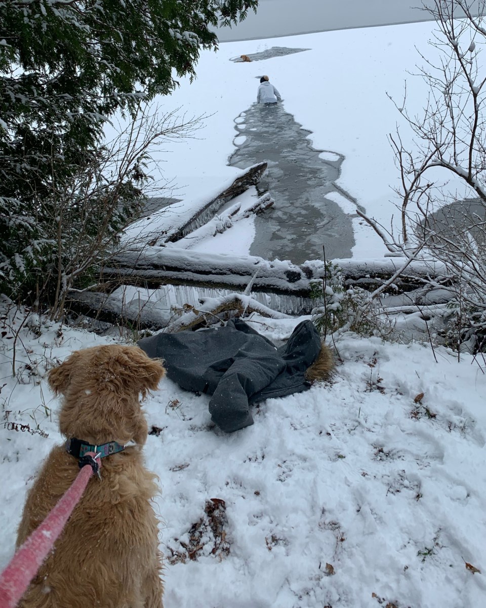 dog through ice at bass lake 2