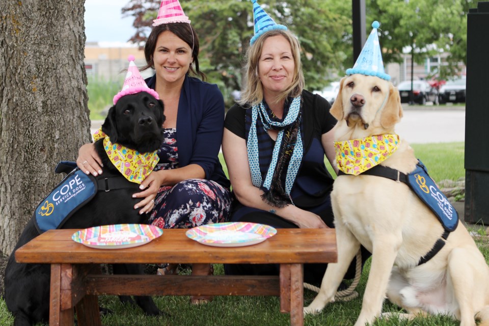 Moose and Beacon, COPE therapy dogs, are shown with staff members from the Child & Youth Advocacy Centre of Simcoe/Muskoka. Contributed photo