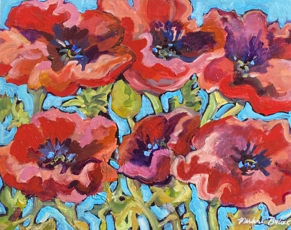 20241112-joy-of-poppies