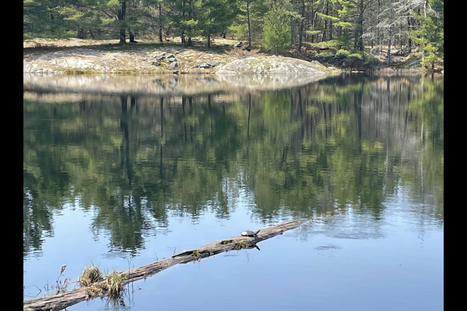 Behold beauty and wonder of Canadian Shield 14 photos