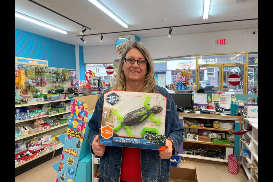 Sue Guilherme, owner of Lahay's  Hobby & Crafts in downtown Orillia, holds a Hex Bots Gecko, a toy she expected would sell much better than it has.