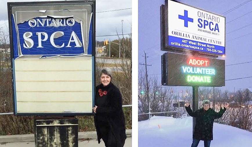 2019-02-05 Orillia OSPCA signs