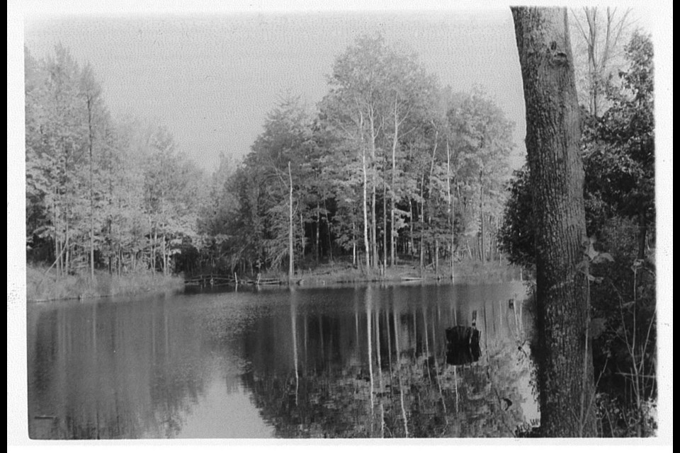 The Tiffin Conservation Area is shown in the mid-1900s.