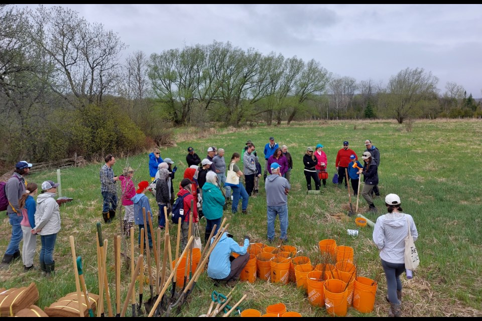 Volunteers gather together for orientation before planting trees in Creemore.