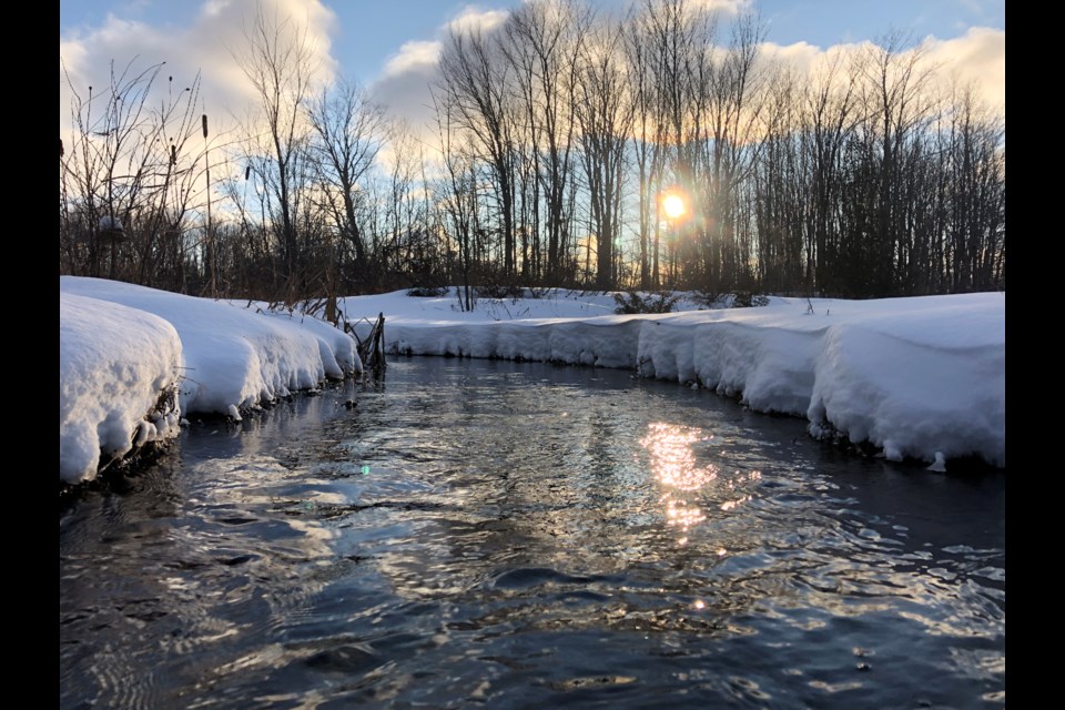 Sweetwater Farm Nature Reserve, near Sebright, is next to a large wetland near the Head River and has a two-kilometre loop trail.