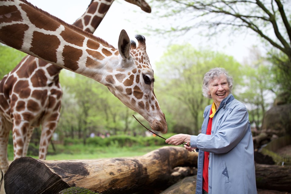 10.Anne Feeding Giraffe