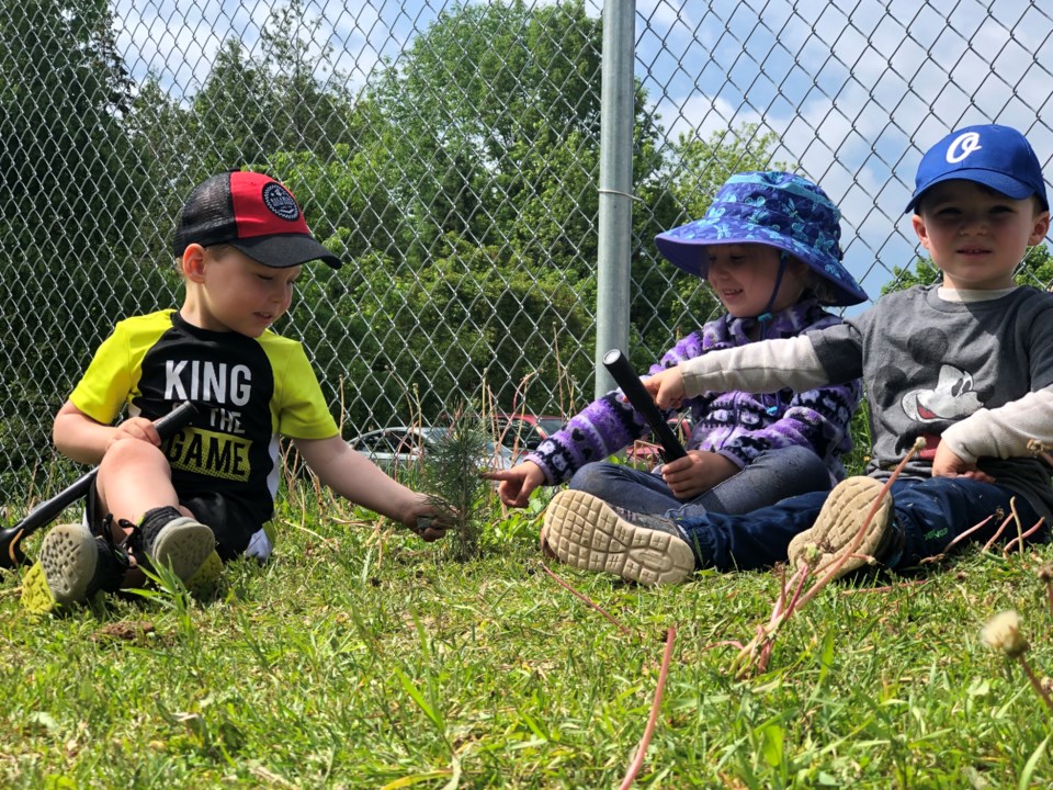 2019-06-19 Orillia Central Preschool tree planting 1