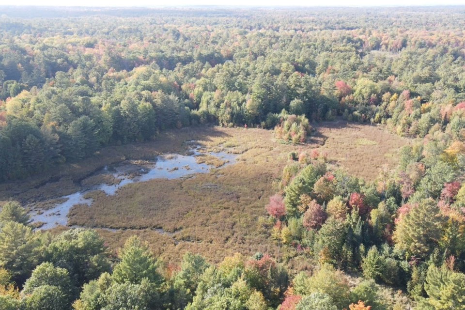 Aerial photo of the Mitchell Bruce Nature Reserve.