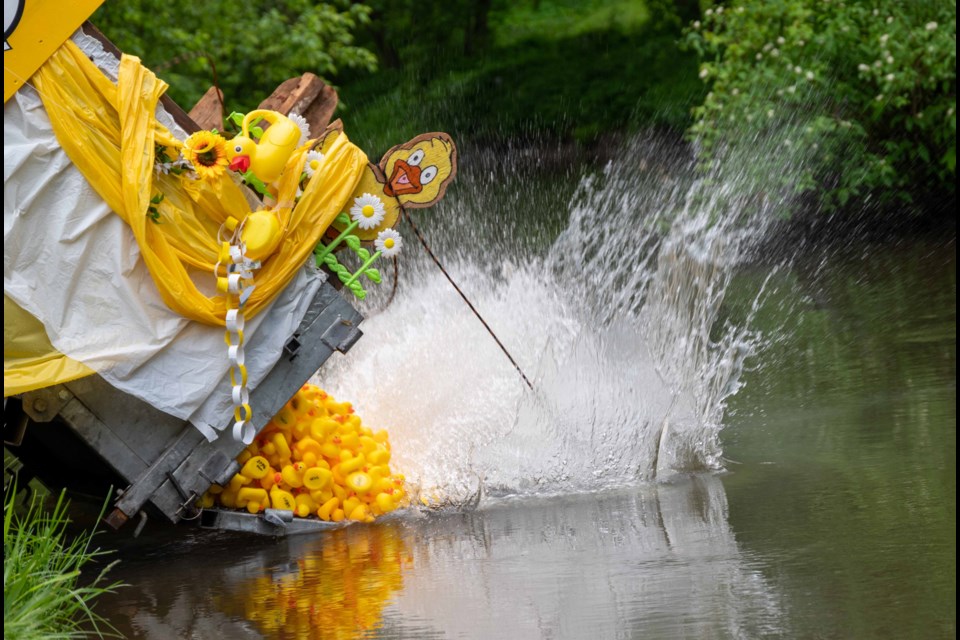 Coldwater Duck Race makes 35K splash for Lions Club (7 photos