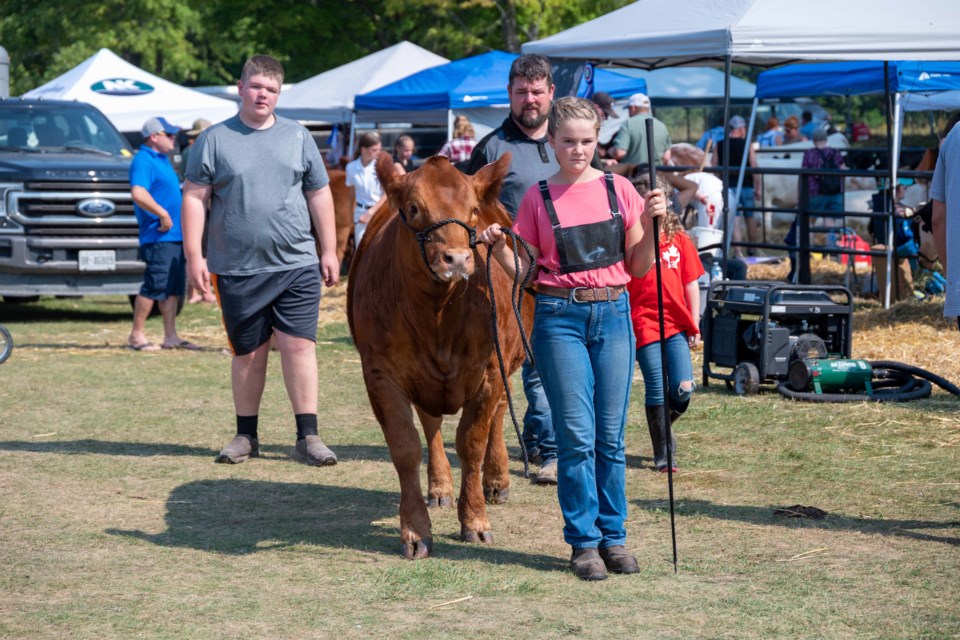 The 170th Oro World's Fair brought livestock to the Oro-Medonte Fairgrounds on Saturday.