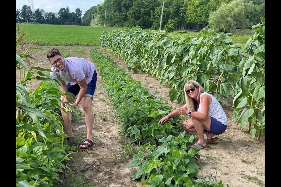 Century Stone Farms is among the Oro-Medonte Township farms offering free range eggs among other healthy offerings.