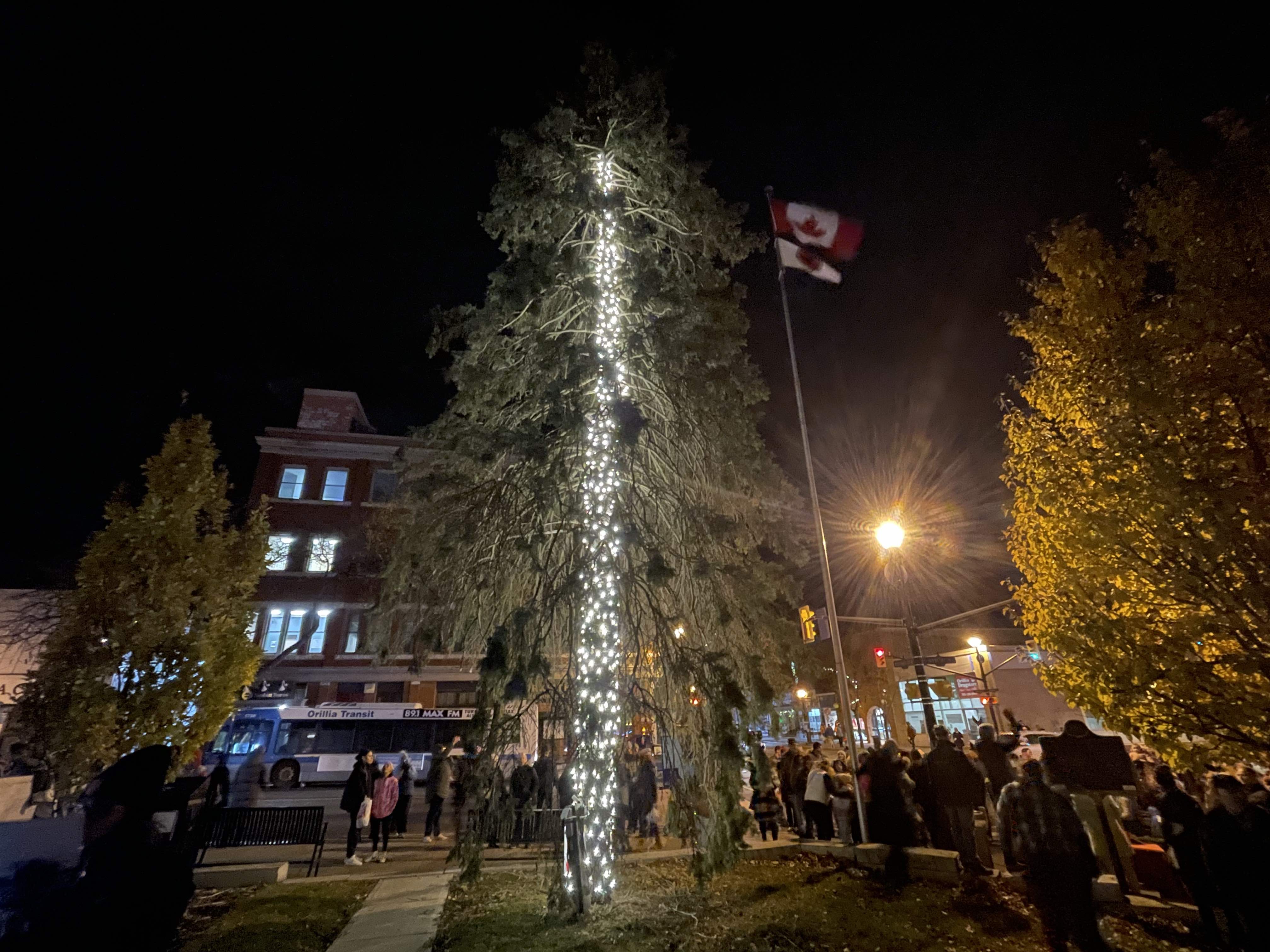 Tree branch lighting -  Canada