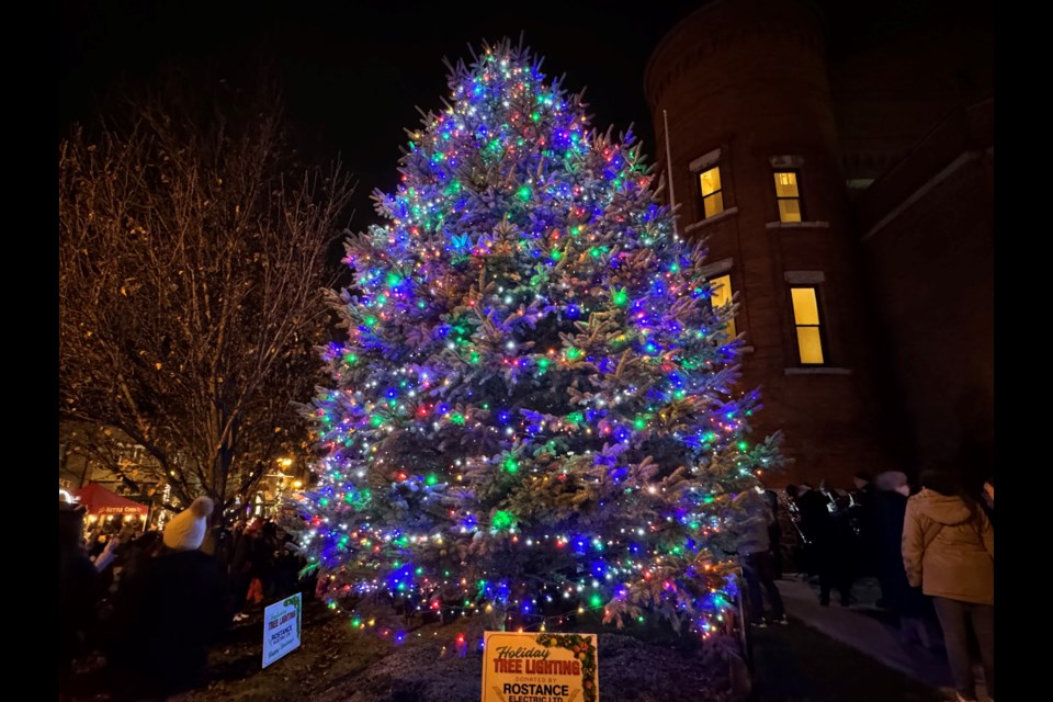 Orillia's new Christmas tree will illuminate the downtown core during the holiday season.  