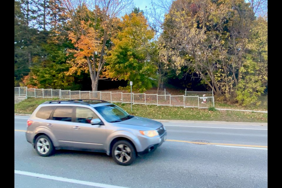 View from Coldwater Road, looking toward the pathway that leads to Park Street.