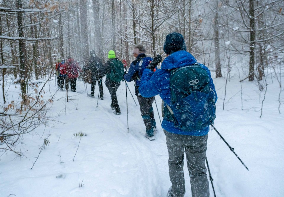 Take a hike! How Ontario Parks plans to get you outdoors Jan. 1 ...