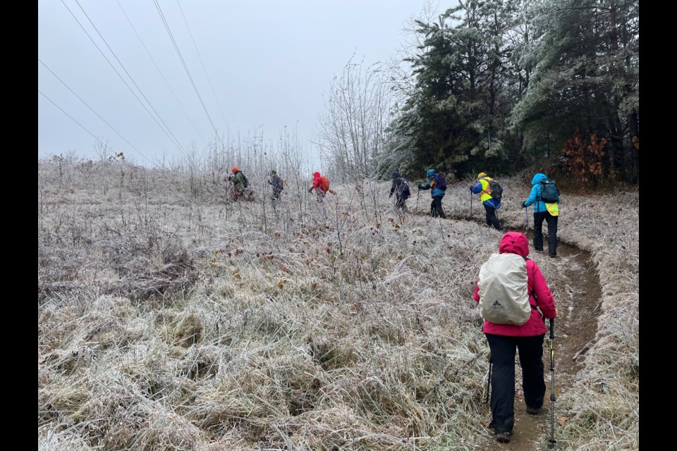 Members of the Orillia club of the Ganaraska Hiking Trail Association recently enjoyed a trek through the Simcoe County Forest around Line 7 and Bass Lake Side Road.