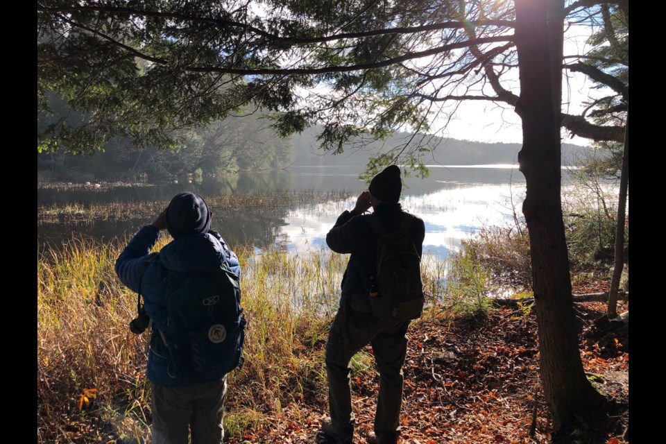 Members of the Orillia hiking club enjoyed an 11-kilometre hike at Limberlost, just east of Huntsville, t his weekend.