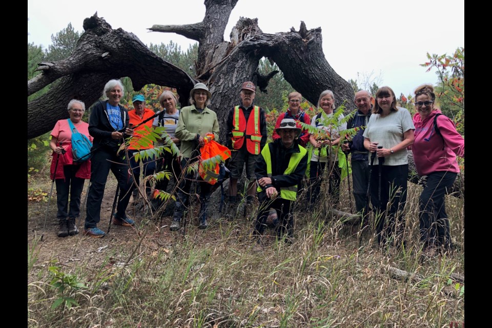 Members of the Ganaraska Hiking Trail Association's Orillia club climbed 'Jarratt Mountain' on Tuesday.