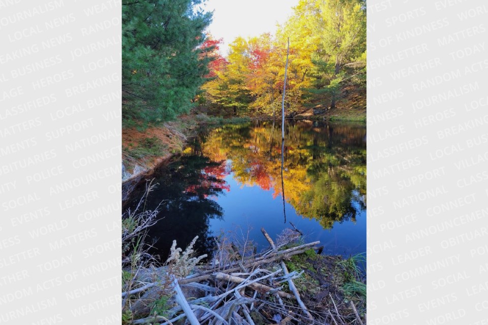 Members of the Ganaraska Hiking Trail Association’s Orillia club trekked the Jevins and Silver Lake Trail near Gravenhurst on Saturday.