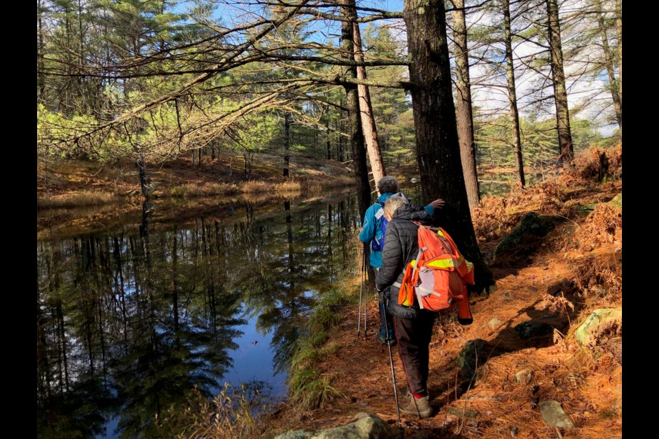 Members of the joint Barrie and Orillia chapters of the Ganaraska Hiking Club took to the Cooper's Falls Trail on Thursday.