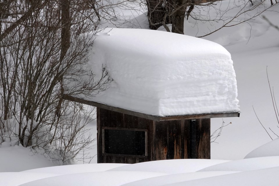 20250221_valk-valley_snow-load-on-shed-hawke