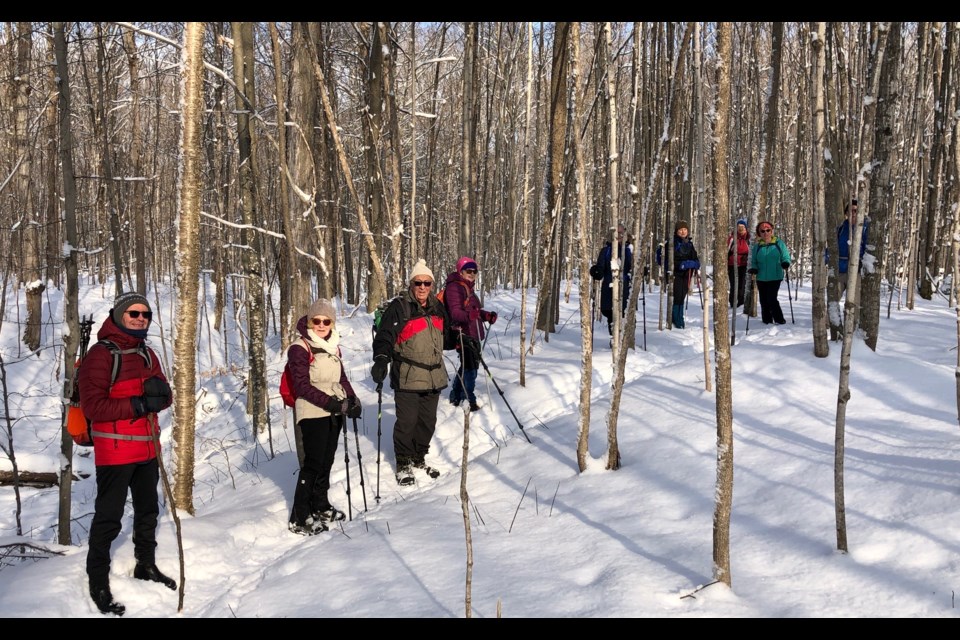 Fresh snow and plunging temperatures made for a cold but picturesque hike in the Copeland Forest for members of the Ganaraska Hiking Club.