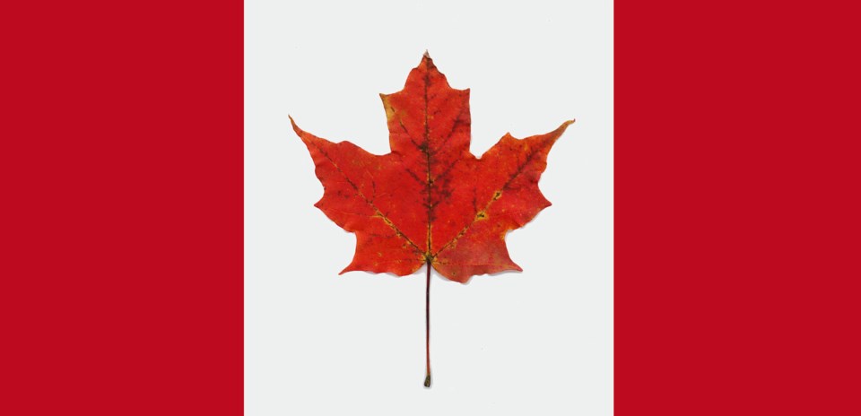 hawek scan of single maple, flag.jpg