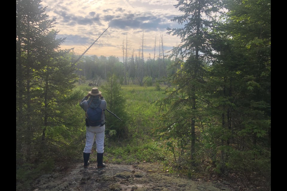 Mark Bisset, the executive director of the Couchiching Conservancy, surveys the Nicholson Nature Reserve, which will now be under their protection. 