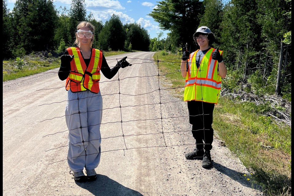 Piper Campbell and Patrick Jones holding fencing at the Sweetwater Nature Reserve.