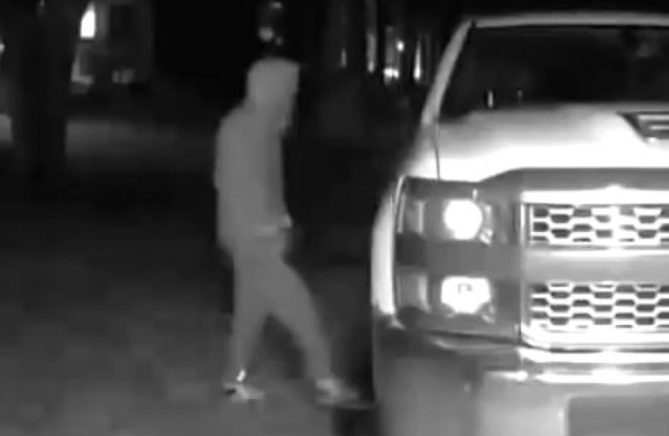 20241105-gravenhurst-theft-from-vehicle