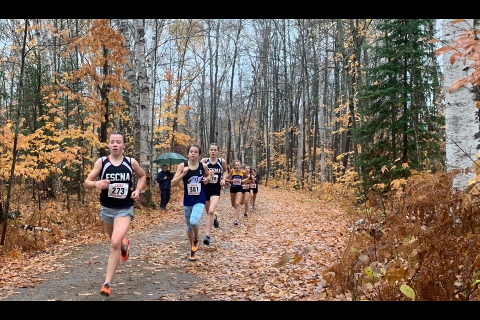 Oro-Medonte's Ava Holmgren leads Orillia's Anna Jaklova and Isabella Holmgren at Arrowhead Provincial Park during this week's GBSSA championship. The trio of local athletes have qualified to represent the region at OFSAA next week. Contributed photo