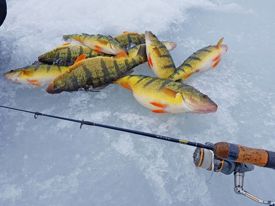 Couchiching Perch