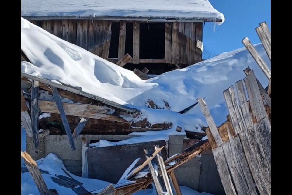 A barn at Morview Farm in Oro-Medonte collapsed under the pressure of snow during the Family Day weekend.