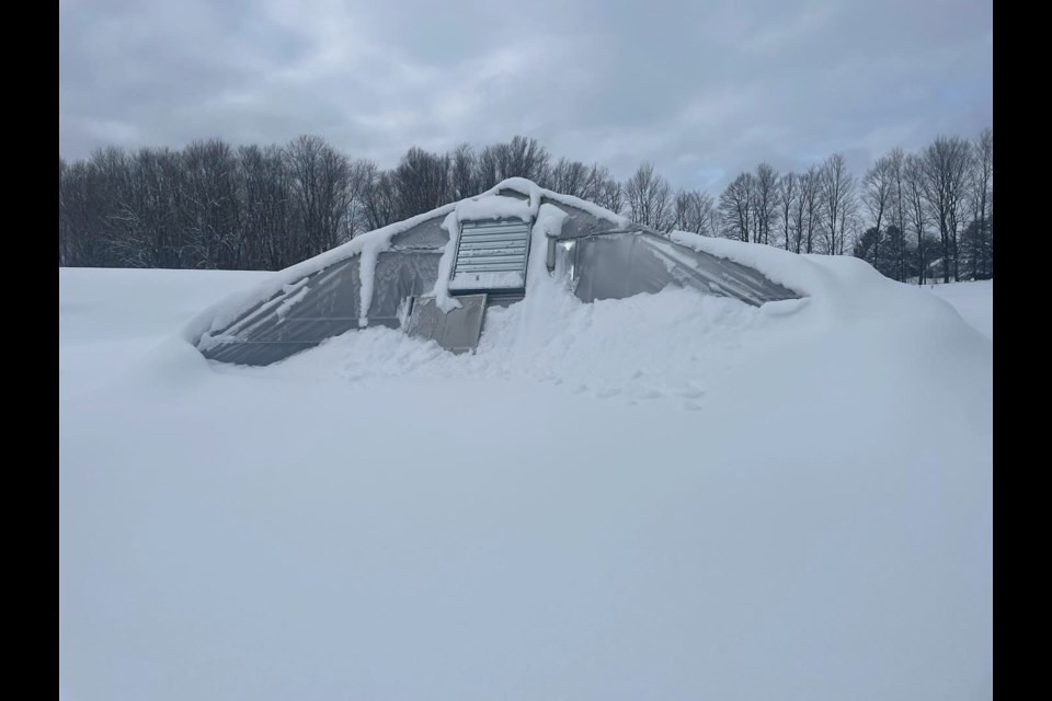 A greenhouse collapsed under the weight of heavy snow last week at Fifty Acre Garden in Oro-Medonte. 