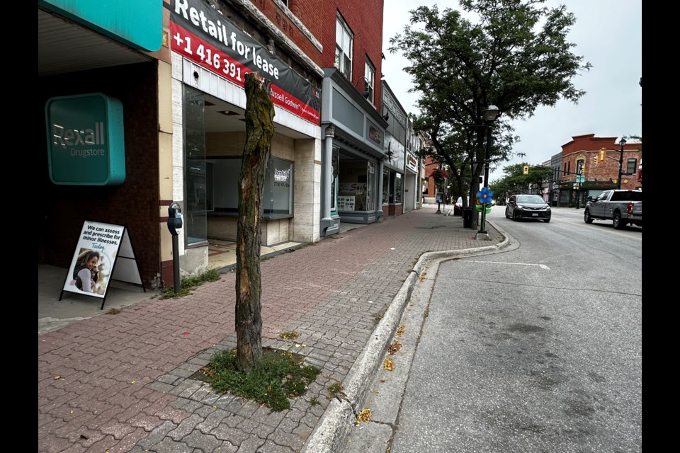 Work began Monday to remove 50 of the downtown’s 118 trees as part of the city’s sidewalk revitalization project. 