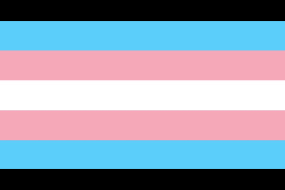 Transgender flag / Twitter 